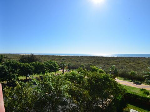 Vistas